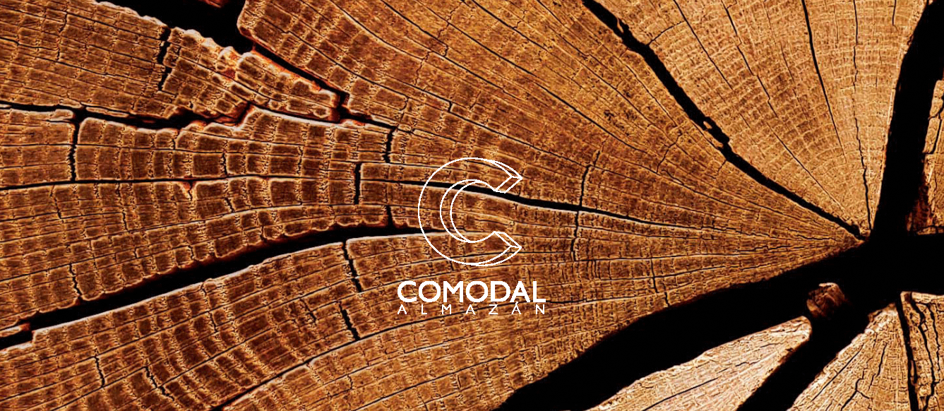 Captura de pantalla 2024-11-18 101509